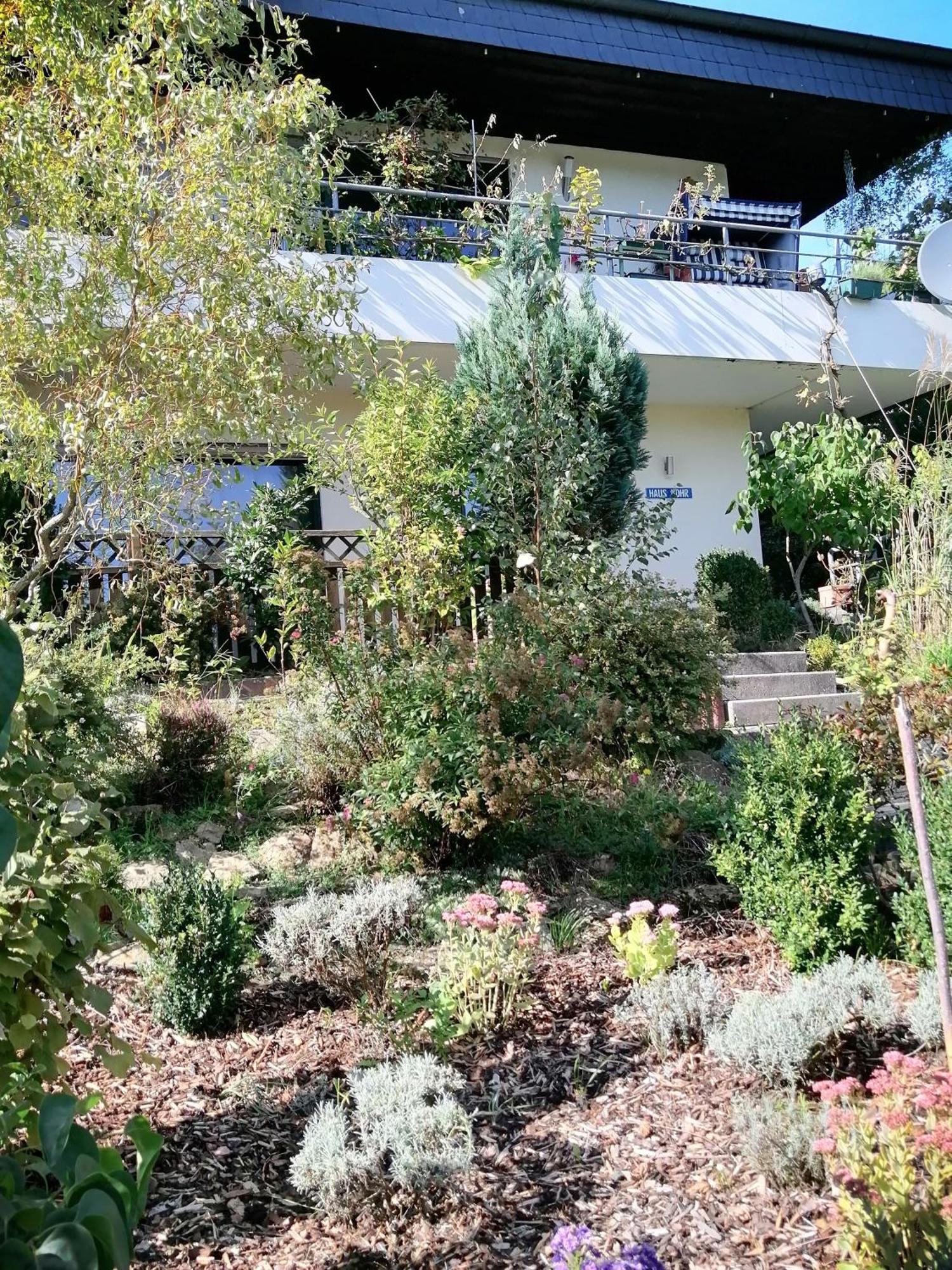 Haus Mohr - Ferienwohnung Im Taunus Weilmunster Eksteriør billede